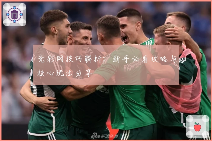 竞彩网技巧解析：新手必看攻略与核心玩法分享